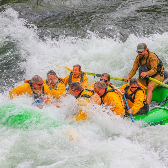 Meet your Posher, Susan - Picture 1 of 1